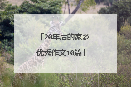 20年后的家乡优秀作文10篇