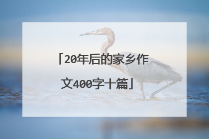 20年后的家乡作文400字十篇