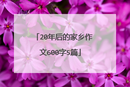 20年后的家乡作文600字5篇