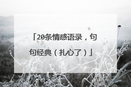 20条情感语录，句句经典（扎心了）