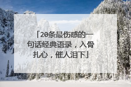 20条最伤感的一句话经典语录,入骨扎心,催人泪下