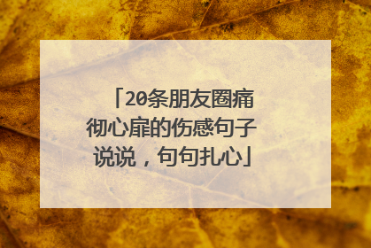 20条朋友圈痛彻心扉的伤感句子说说，句句扎心