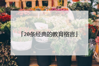 20条经典的教育格言