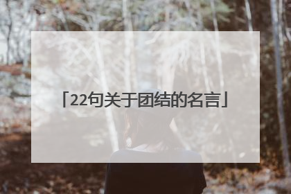 22句关于团结的名言