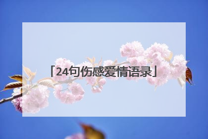 24句伤感爱情语录