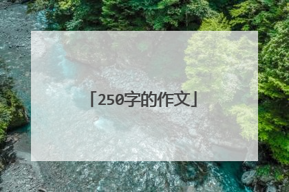 250字的作文