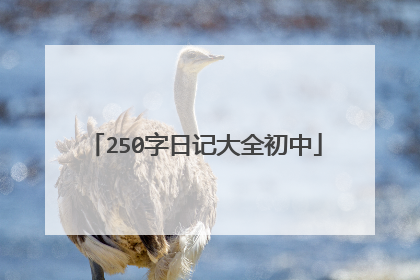 250字日记大全初中