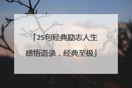 25句经典励志人生感悟语录，经典至极