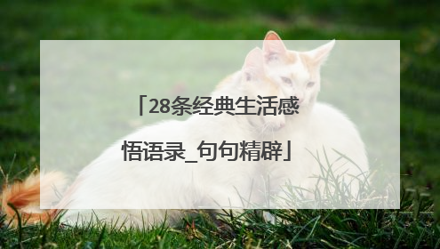 28条经典生活感悟语录_句句精辟