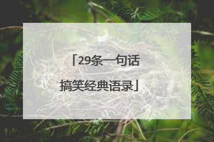 29条一句话搞笑经典语录