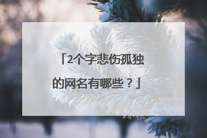 2个字悲伤孤独的网名有哪些？