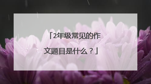 2年级常见的作文题目是什么？