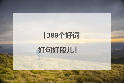 300个好词好句好段儿
