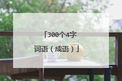 300个4字词语（成语）