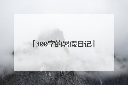 300字的暑假日记