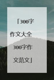 300字作文大全 300字作文范文