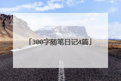 300字随笔日记4篇