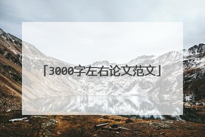 3000字左右论文范文