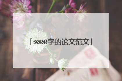 3000字的论文范文