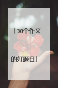30个作文的好题目