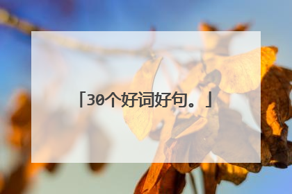 30个好词好句。