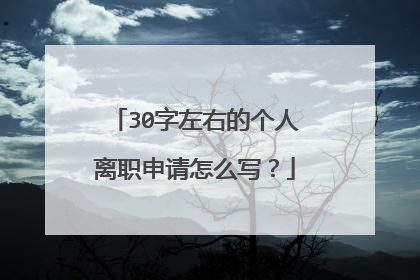 30字左右的个人离职申请怎么写？