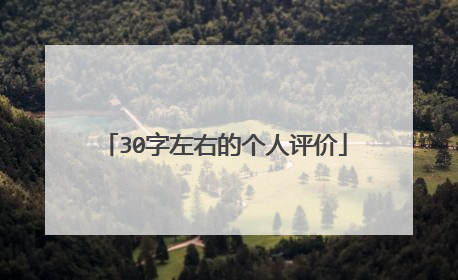 30字左右的个人评价