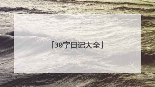 30字日记大全