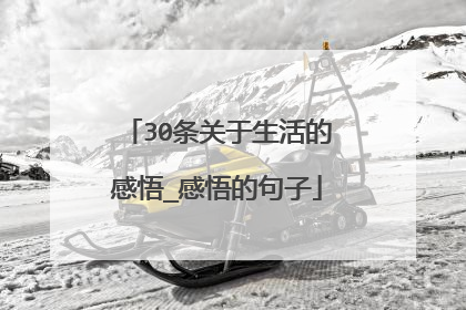 30条关于生活的感悟_感悟的句子