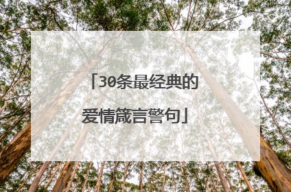 30条最经典的爱情箴言警句