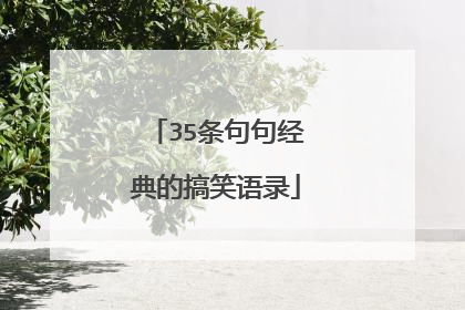 35条句句经典的搞笑语录