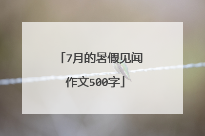 7月的暑假见闻作文500字