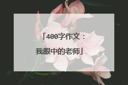 400字作文：我眼中的老师