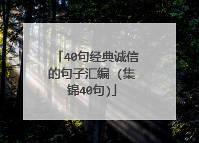 40句经典诚信的句子汇编 (集锦40句)