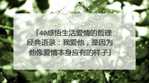 40感悟生活爱情的哲理经典语录：我爱他，是因为他像爱情本身应有的样子