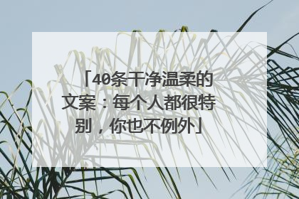 40条干净温柔的文案:每个人都很特别,你也不例外