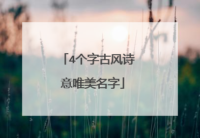 4个字古风诗意唯美名字