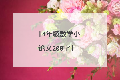 4年级数学小论文200字