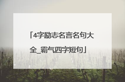 4字励志名言名句大全_霸气四字短句