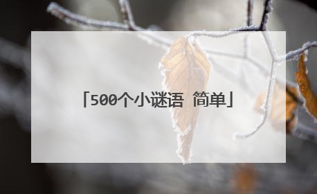 500个小谜语 简单