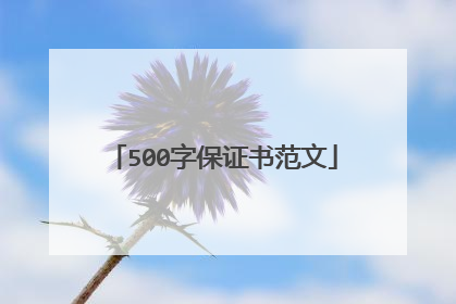 500字保证书范文