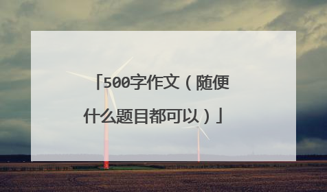 500字作文（随便什么题目都可以）
