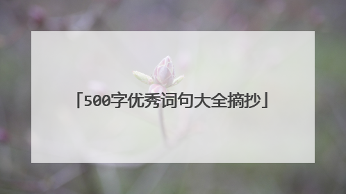 500字优秀词句大全摘抄