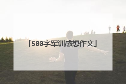 500字军训感想作文