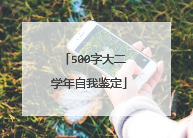 500字大二学年自我鉴定