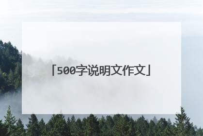 500字说明文作文