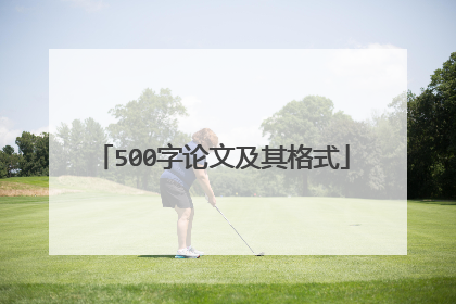 500字论文及其格式