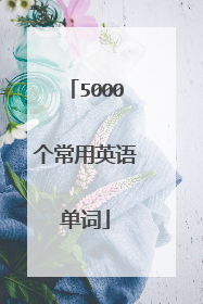 5000个常用英语单词