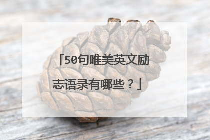 50句唯美英文励志语录有哪些？