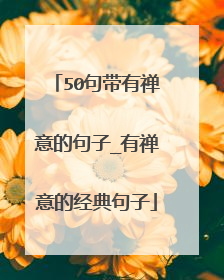 50句带有禅意的句子_有禅意的经典句子